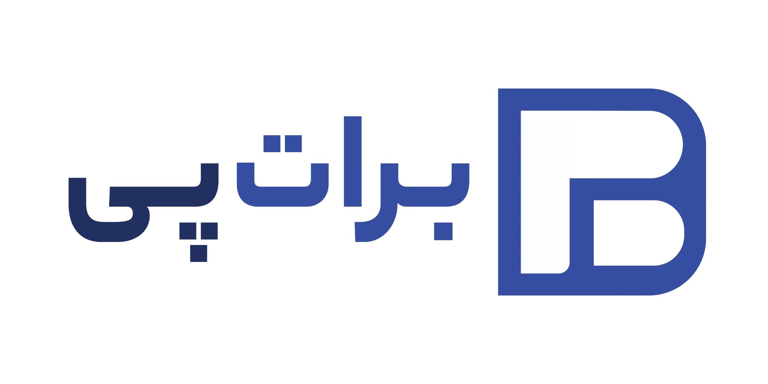 نشان پرداخت های ارزی خارجی برات پی